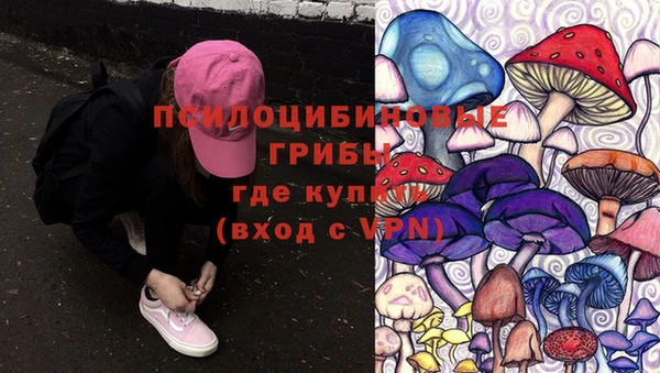 МДПВ Галич