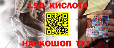 гидра Можга