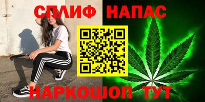 гидра Можга