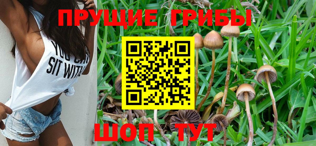 Псилоцибиновые грибы MAGIC MUSHROOMS  Вход с VPN  Ишимбай  Галлюциногенные грибы мухоморы 